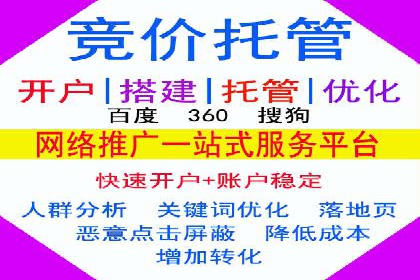 某某SEM服务公司成功案例：从数据出发的营销策略